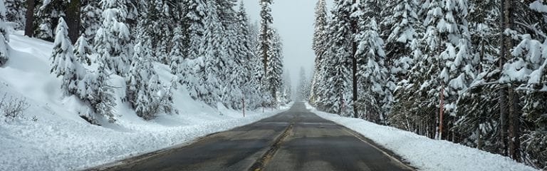 December 2016 freight trends