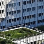green rooftop laws: should we be next?