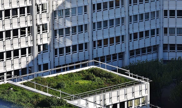 green rooftop laws: should we be next?