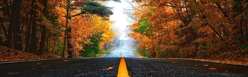 November 2016 freight trends